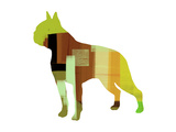 Boston Terrier Posters by  NaxArt