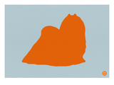 Maltese Orange Prints by  NaxArt