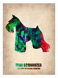 Miniature Schnauzer Poster Prints by  NaxArt