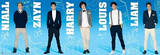 One Direction Group Panorama Print