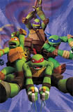 Teenage Mutant Ninja Turtles TMNT - Team Print