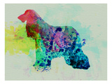 Afghan Hound Watercolor Photo by  NaxArt