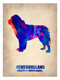 Newfoundland Poster Fotografía por NaxArt