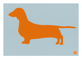 Dachshund Orange Posters by  NaxArt