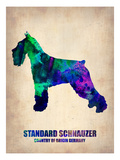 Standard Schnauzer Poster Posters by  NaxArt