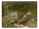 "Fast Asleep" (1907) Giclee Print by Ashael Curtis