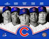 Chicago Cubs 2013 Team Composite Photo