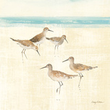 Sand Pipers Square I Póster por Avery Tillmon Sand Pipers Square I Póster por Avery Tillmon