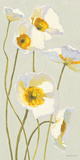 White on White Poppies Panel I Posters by Shirley Novak