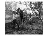 Plowing Team at Work, Grandview, WA, 1918 Giclee Print by Ashael Curtis