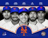 New York Mets 2013 Team Composite Photo