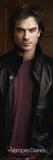 Vampire Diaries - damon salvatore Posters