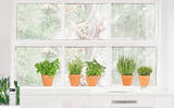 All My Herbs Vinilos decorativos por . Design Team
