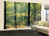 Enchanted Forest Huge Wall Mural Poster Print Wall Mural