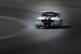 Mustang on the racing Circuit Affiches par  NaxArt