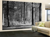 Mystical Forest Huge Wall Mural Poster Print Wall Mural