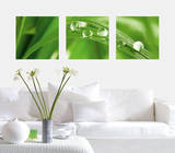 Crystal Clear Water Drops Wall Decal by . Design Team