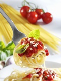 Spaghetti with Tomato Sauce on a Fork Photographic Print by Karl Newedel