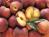Many Whole Peaches with One Halved Photographic Print