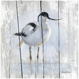 1 Oiseau Posters by Cessou Pascal