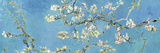 Blühende Mandelbaumzweige, San Remy, ca. 1890 Poster von Vincent van Gogh