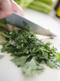 Chopping Parsley Photographic Print