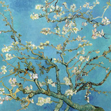 Ramos com a Flor da Amêndoa, San Remy, c.1890 Arte por Vincent van Gogh Ramos com a Flor da Amêndoa, San Remy, c.1890 Arte por Vincent van Gogh
