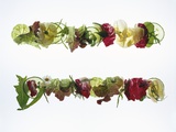 Salad Leaves with Meadow Flowers Photographic Print by Luzia Ellert