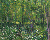 Trees and Undergrowth, c.1887 Affiches par Vincent van Gogh