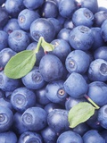 Blueberries Photographic Print by Vladimir Shulevsky
