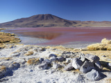 Laguna Colorada on the Altiplano, Potosi Department, Bolivia Photographic Print by Ian Trower