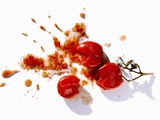 Squashed Tomatoes Photographic Print by Bodo A. Schieren