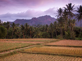 Indonesia, Java, Magelang, Borobudur, Scenery at Borobudur Photographic Print by Jane Sweeney