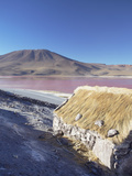 Laguna Colorada on the Altiplano, Potosi Department, Bolivia Photographic Print by Ian Trower
