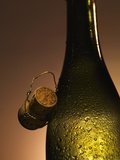 Champagne Bottle with Cork Photographic Print by Joerg Lehmann
