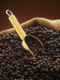 Roasted Coffee Beans with Golden Scoop in Jute Sack Photographic Print by Vladimir Shulevsky
