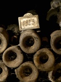 Old Wine Bottles in Jean-Louis Trapet's Wine Cellar, Burgundy Photographic Print by Joerg Lehmann