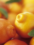 Several Mandarin Oranges with Leaves Photographic Print by Vladimir Shulevsky