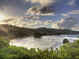 Caribbean, Barbados, Bathsheba Bay Photographic Print by Michele Falzone