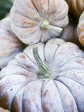 Winter Squashes Photographie par Jürg Waldmeier