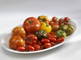 Various Types of Tomatoes on a Platter Photographic Print by Karl Newedel