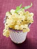 White Currants in Beaker Photographic Print