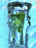 Mojito with Fresh Mint Surrounded by Ice Photographic Print by Michael Meisen