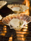 Scallops on Barbecue Photographic Print