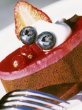 Small Cake Topped with Berry Mousse Photographic Print by Linda Burgess