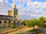 France, Provence, Avignon, Cathedral Notre-Dame-Des Doms, Woman Walking Down Path Photographic Print by Shaun Egan