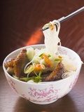 Glass Noodles with Roast Duck Breast and Vegetables (Asia) Fotografisk tryk