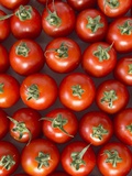 Roma Tomatos Photographic Print by Martina Schindler