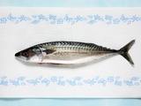 Fresh Mackerel on Kitchen Paper Photographic Print by Brigitte Protzel