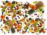 Many Different Types of Fruit Against White Background Photographic Print by Karl Newedel